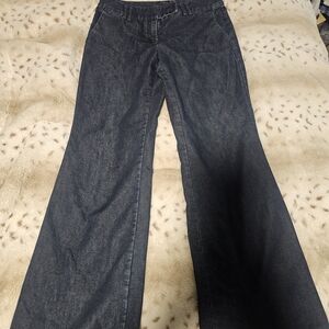 Express Navy Flare Jeans